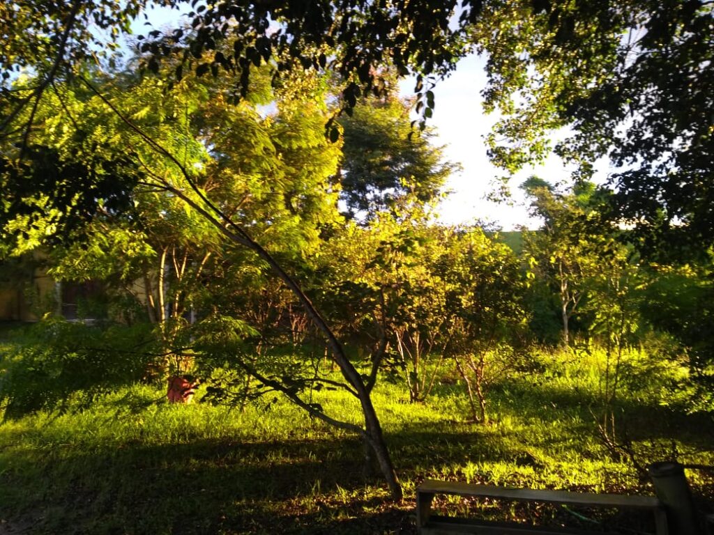 suite_com_varanda_1 (1)